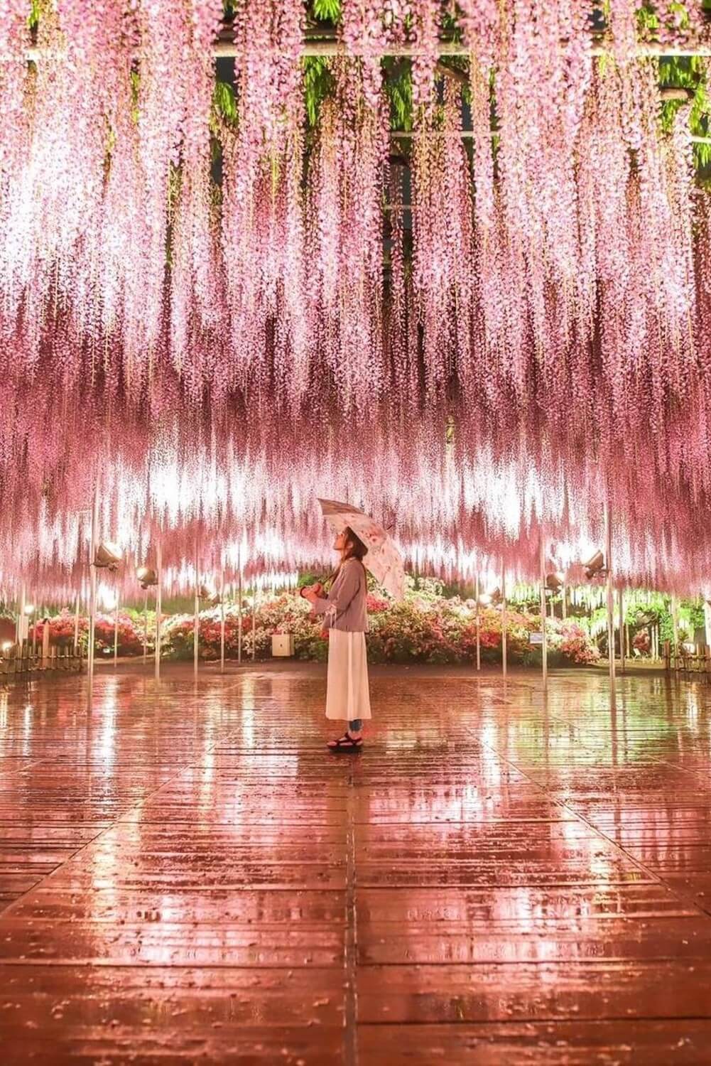 Ashikaga Flower Park, Tokyo
