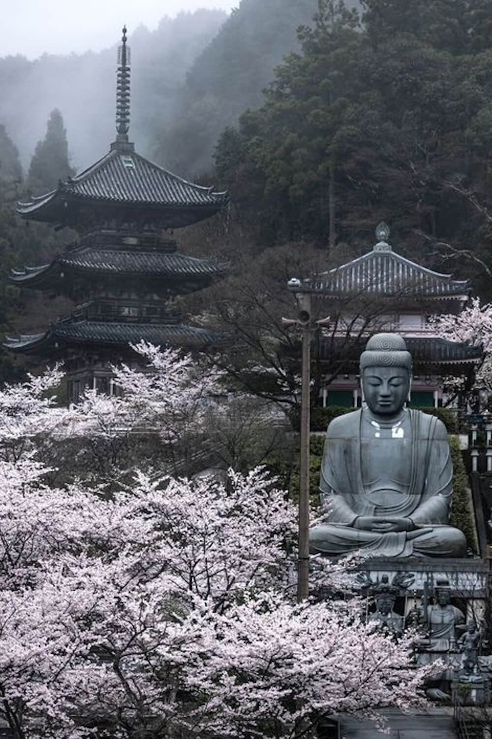 Tsubosaka Temple, Nara