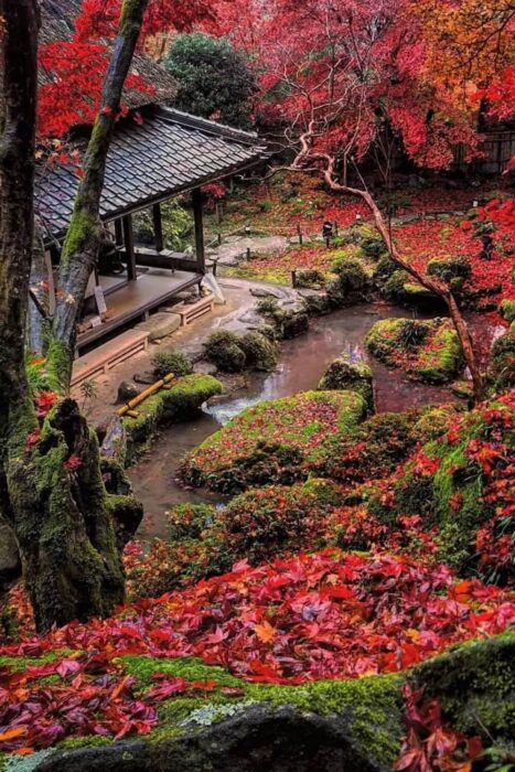 Kyorimbo Temple, Shiga