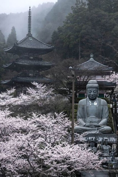Tsubosaka Temple, Nara